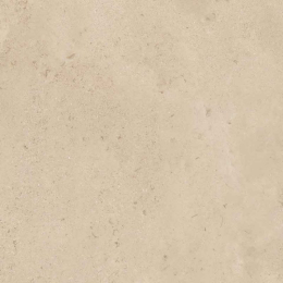 Desvres Ariana Memento   Camar.Beig  Nat R   80X80 PF60014669