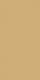 Cerdisa Ecc Ray Nt Rt 0098506