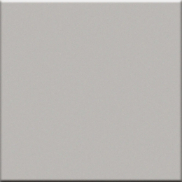 Vogue In Argento 10X10 0011566