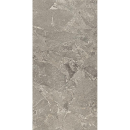 Cercom Meteor Grey Ret      60X120 1086659