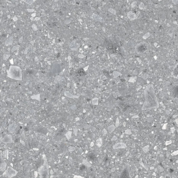 Ragno 600X600  Ceppo Grigio Rt RCX7