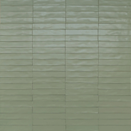 Ragno Wish Green Semimatt RCGF