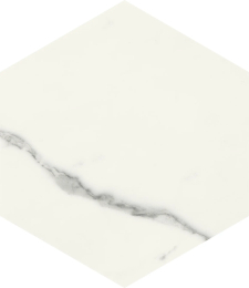 Marca Corona Scultorea Statuario Vena Argento Esagona J469