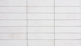 Tonalite Foliage Bianco 6x24,6 FOL25BI