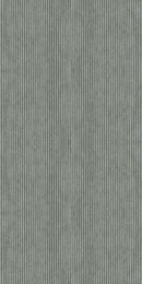 Cerdisa Ecc Ray Str Rt 0098531