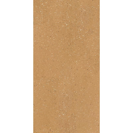 Floor gres Earthtech/ Savan_Fl Nat 9Mm 120X240R 776928