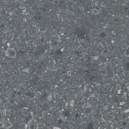 Ragno 600X600  Ceppo An R10 Rt RCXA