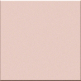 Vogue In Rosa 10X10 0011528