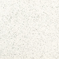 Iris Fmg Rialto Rialto Zinc Levigato L20419