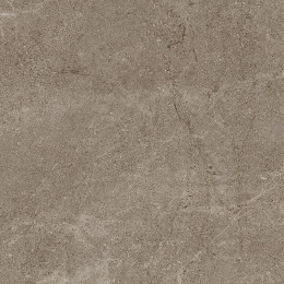 Cercom Archi Taupe Ret(P)   60X60 1081737