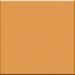 Vogue In Mandarino 10X10 0011519