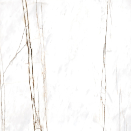 Cerdisa Am2 Sahara B. Hn Rt 0099987