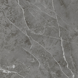 Cerdisa Am2 Sahara G. Sft Rt 0099965