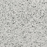 Iris Fmg Rialto Rialto Silver Levigato L20421