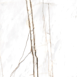 Cerdisa Am2 Sahara B. Hn Rt 0099993