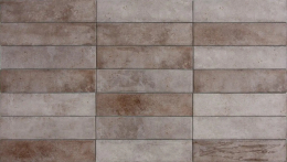 Tonalite Foliage Grigio 6x24,6 FOL25GR