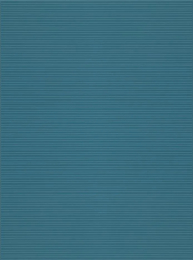 Ragno 300X900  Luci 3D Fi Oce RCRP