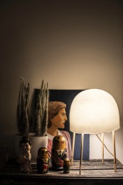 Nendo, Luca Nichetto