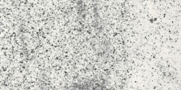 Iris Fmg Neo Granito Kristal Levigato L62644