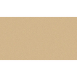 Vogue In Beige 10X20 00116251
