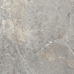 Cercom Evergreige Ret       100X100 1089330