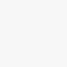 Vogue In Ghiaccio 10X10 0011520