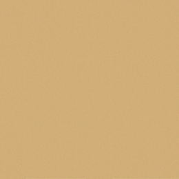 Cerdisa Ecc Ray Nt Rt 0098446