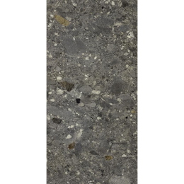 Cercom Ceppo Nero Ret(P)    30X60 1077666