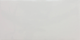 Tonalite I Bianchi Bianco 10x20 GLO20BI