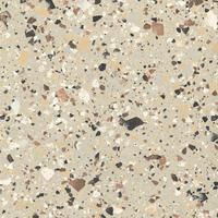 Iris Fmg Venice Villa Venice Beige Levigato L20411