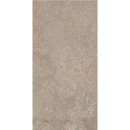 Cercom St.Vision Mud Ret    60X120 1090667