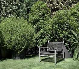 Fotel FlexForm  Tessa Outdoor