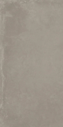 Imola Azma6_12Ag_Rm  Silver 60X120