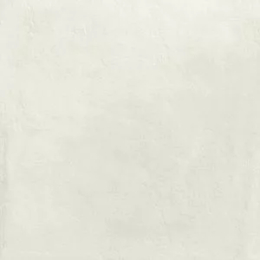 Ragno Boom Luce Rt  R53H