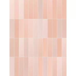 Cedit Cromatica Rosa Sf.Opa.6Mm 6X24  757502