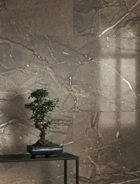 Cercom Amaranto Brown Sat/Re60X60  1077164