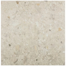 Cercom Ceppo Avorio R11 Ret 60X60  1077659