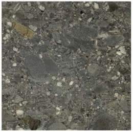 Cercom Ceppo Nero R11 Ret 60X60  1077661