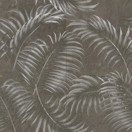 Cercom Ferns Black Cm 120X120  1077477