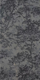 Cercom Oak Grey Pz          60X120     1072149