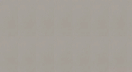 CIR ELEPHANT SKIN RET 60X120 1074142