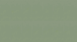 CIR GREEN GURU RET 60X120 1074144