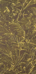 CIR HERBARIUM OCRE 60X120 1074169