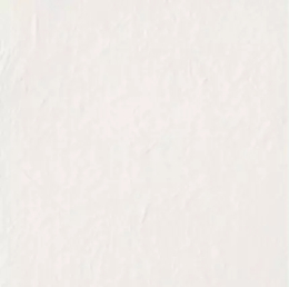 CIR TASTY OYSTER RET 60X60 1075318