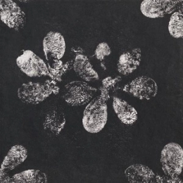 Mutina Chymia Ophelia Black 30X30  GAC25