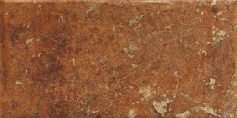 CIR COTTO DORATO 20X40 1080484