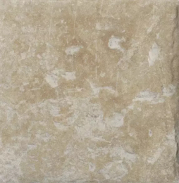 CIR TERRA DI PIENZA  20X20 1081041