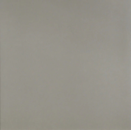 Mutina Neutral Rett. Grigio 120X120  PUDN02