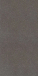 Floor Gres Earthtech/ Carbon_Gr Nat 6Mm 120X240R  771464