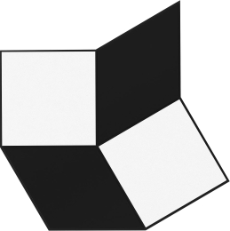 Bardelli Distortion A DSA0033